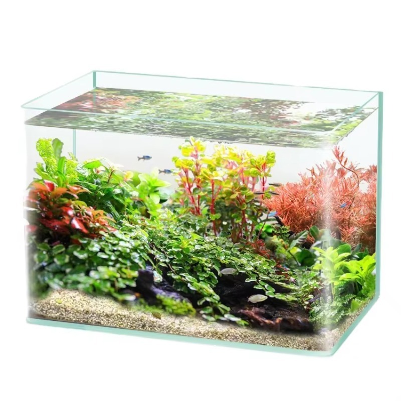 Saltwater Tank - Box-Verpackung, Desktop-Aquarium, ultraweißes, klares, gebogenes Glas,