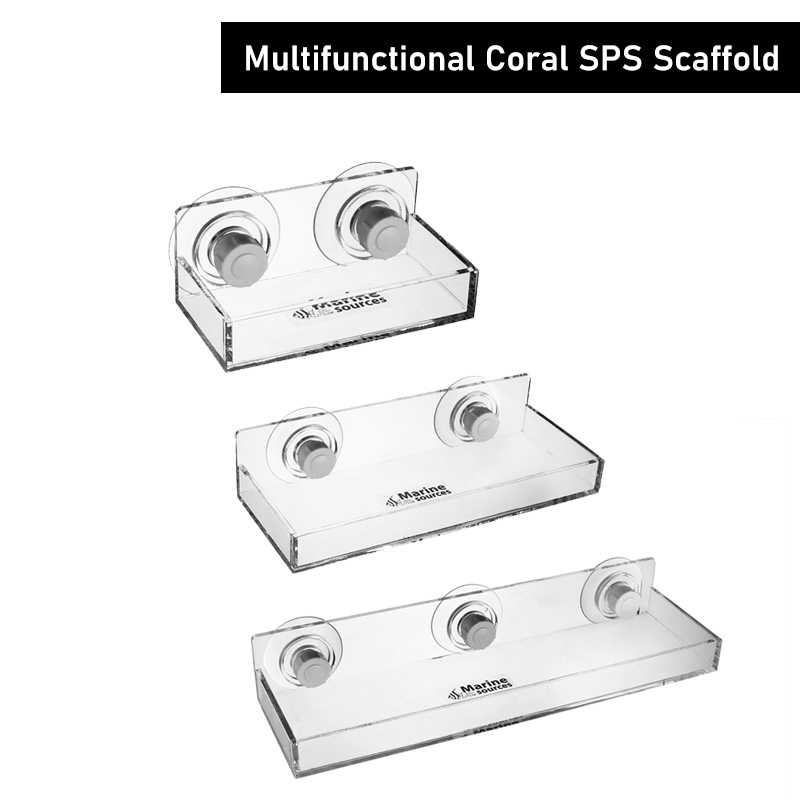 Marine Coral - Marine Quellen Multifunktion ale Korallen SPS