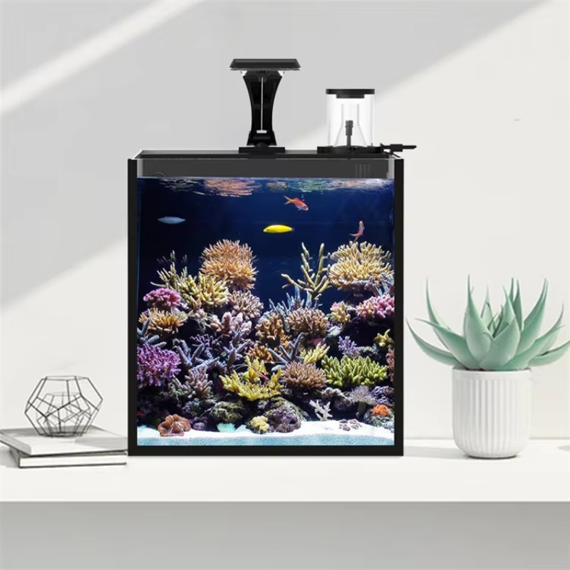 Ultraklar-Glas-Mini-Meerwasser – Marine Aquarium Cube Bewertung und Preis