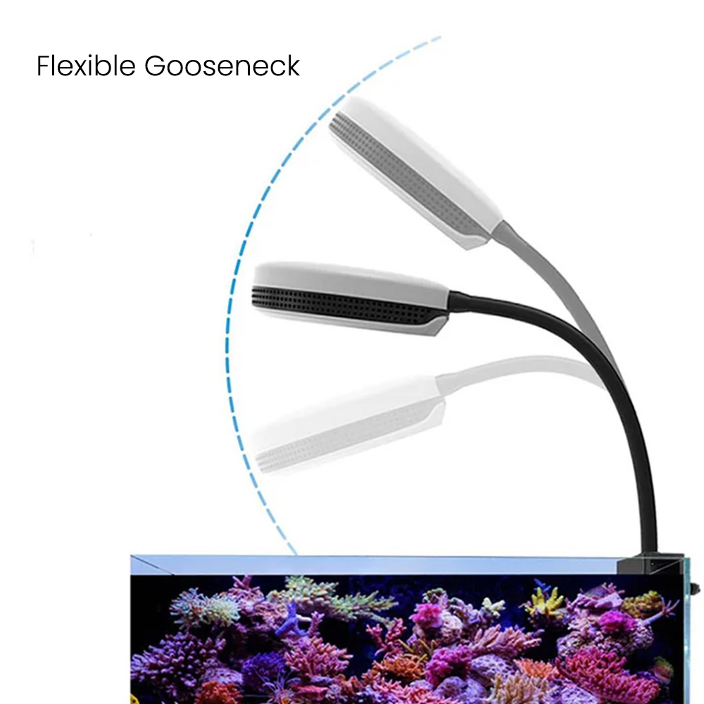 Spectra SP20 20W Aquarium LED- – Marine Coral Bewertung und Preis