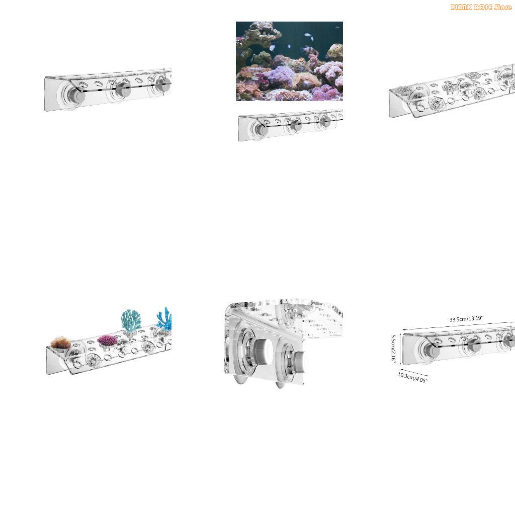 K1AE Acryl-Korallenfragmentreg – Reef Aquarium Bewertung und Preis