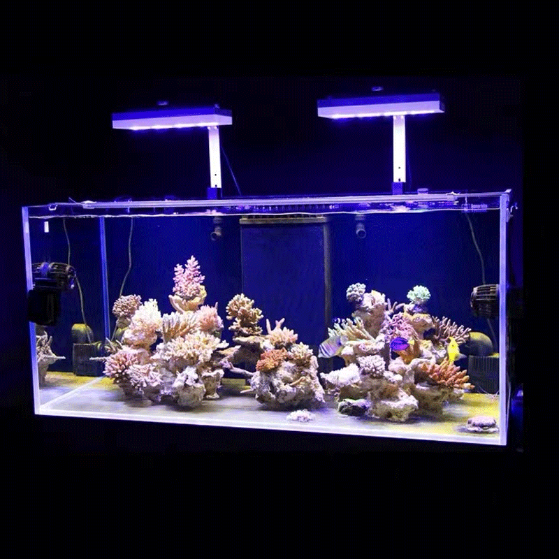 Aqua Lighting AI Hydra 32HD/64 – Marine Coral Bewertung und Preis