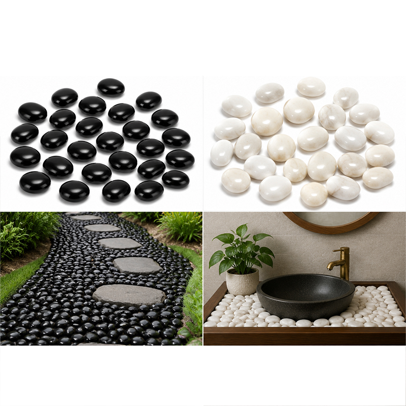 Weiß-schwarze polierte Flussst – Marine Fish Tank Bewertung und Preis