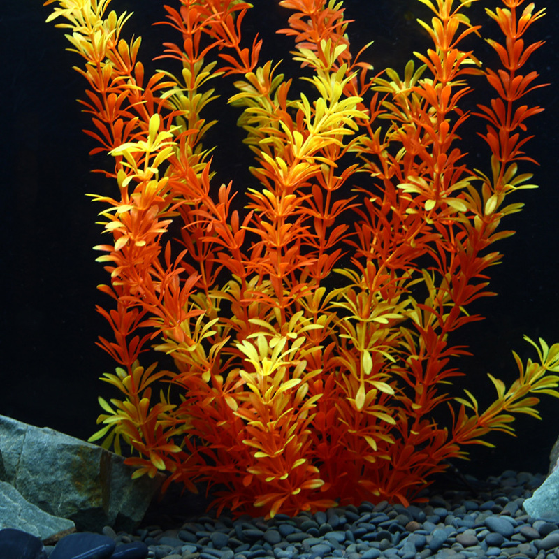 100cm Tropische Pflanzen, Groß – Ocean Aquarium Bewertung und Preis
