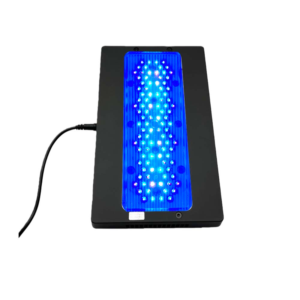 A8 III Moon Light Leistungssta – Marine Coral Bewertung und Preis