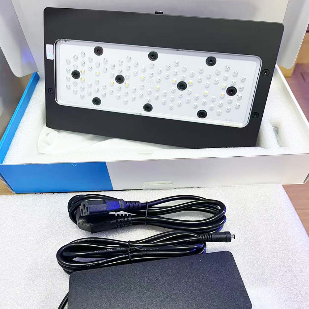 A8 III Moon Light Leistungssta – Marine Coral Bewertung und Preis