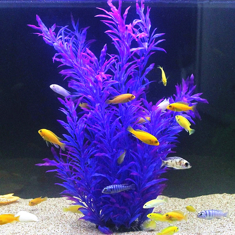 50CM Künstliche Aquarium Selte – Marine Fish Tank Bewertung und Preis